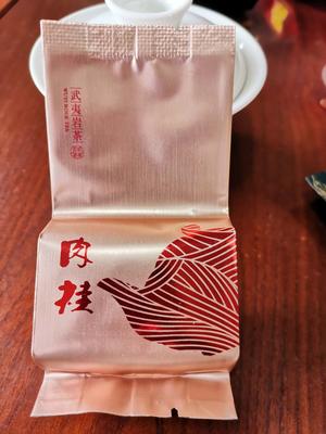 武夷岩茶-肉桂